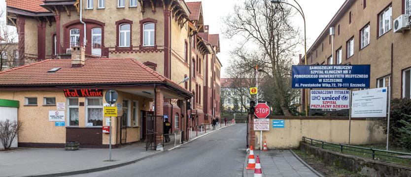 Wszystko o sieci