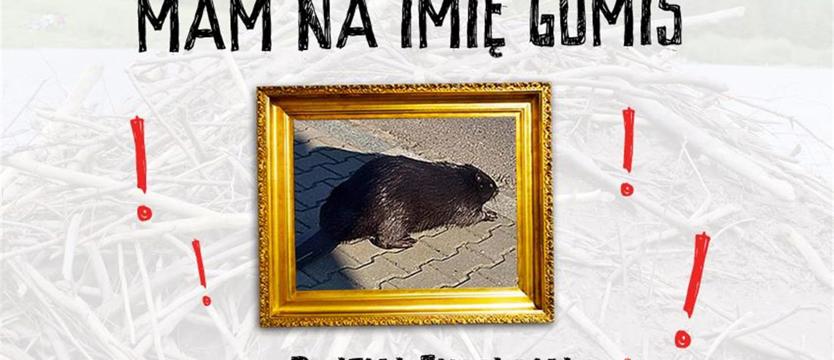 Gumiś dziękuje mieszkańcom
