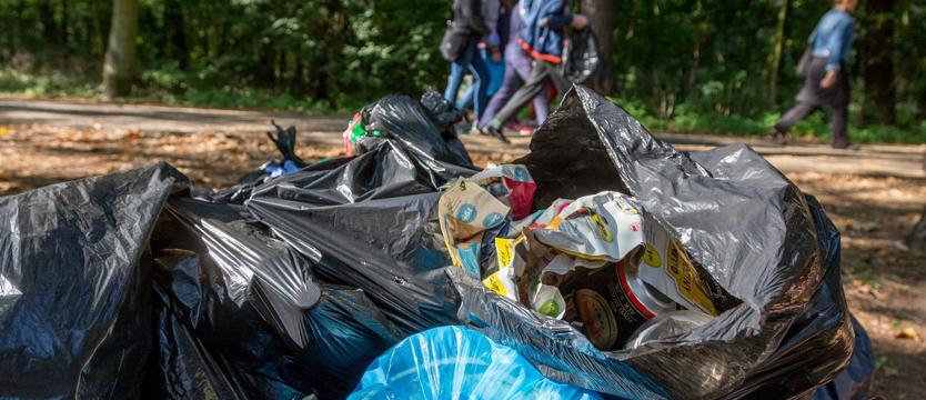 Satysfakcja i zielony Szczecin