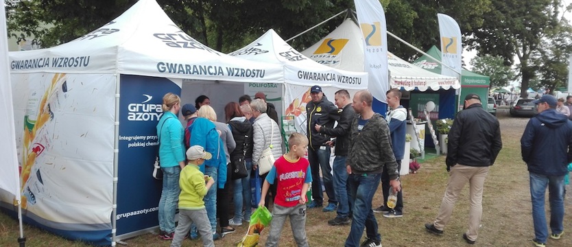 Ciekawa oferta polickich azotów