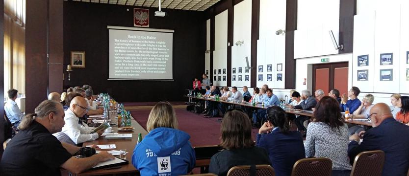 Foki i kormorany problemem dla rybołówstwa