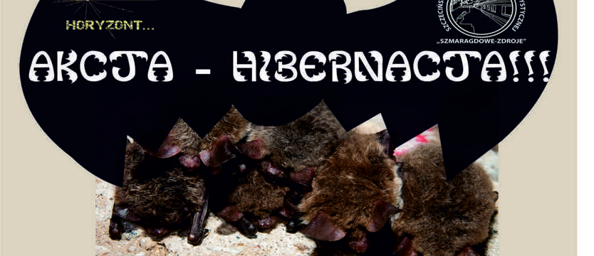 Akcja hibernacja
