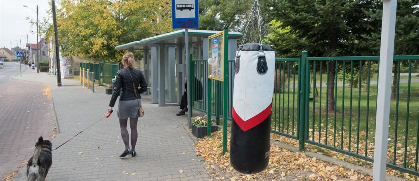 Dobra alternatywa dla wandali