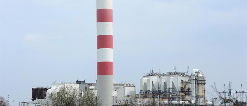 Ciepło tanie jak barszcz?