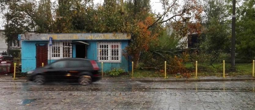 Drzewo upadło na pawilon "U Iwony"