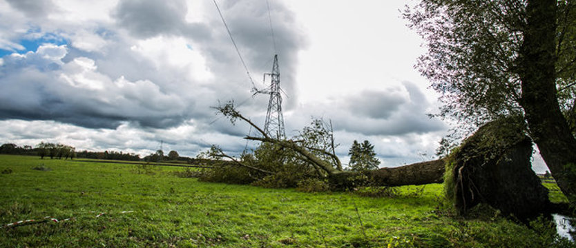 Przywrócili prąd u 600 tys. odbiorców