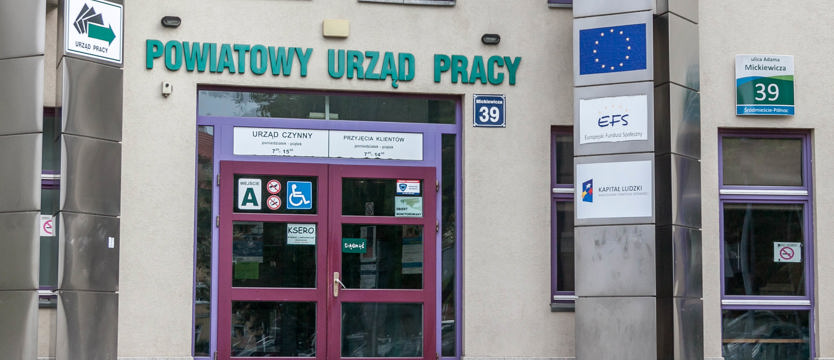 Bezrobocie wyhamowało