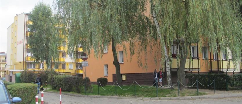 Czterolatek błąkał się po ulicy. Pomógł taksówkarz