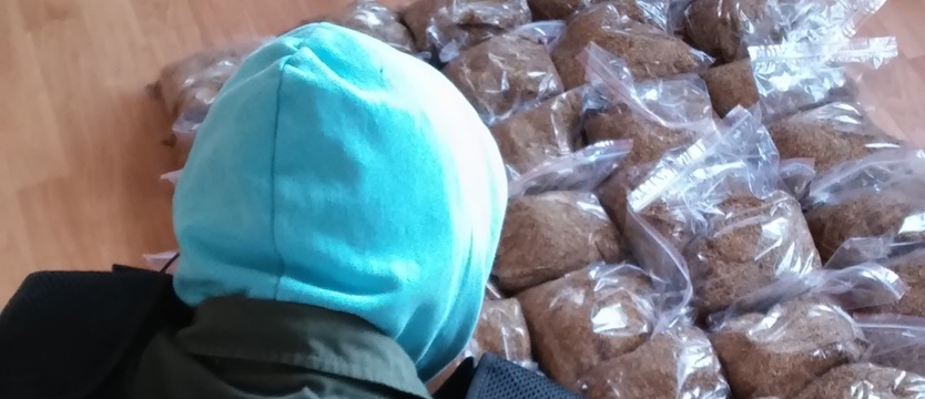 Grzywna za nielegalny tytoń