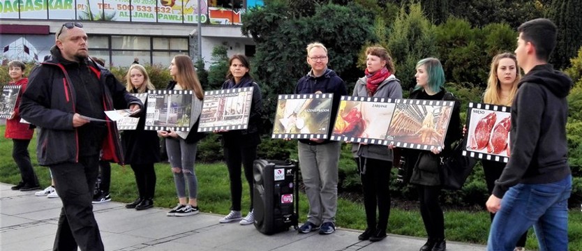 "Stopklatka" w obronie zwierząt