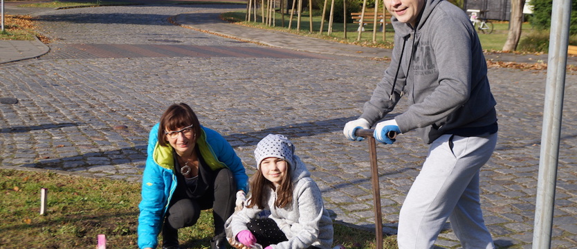 Krokusy zakwitną na Głębokiem