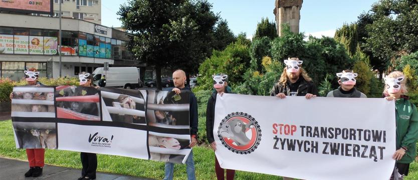 Otwarte spotkanie: BASTA!
