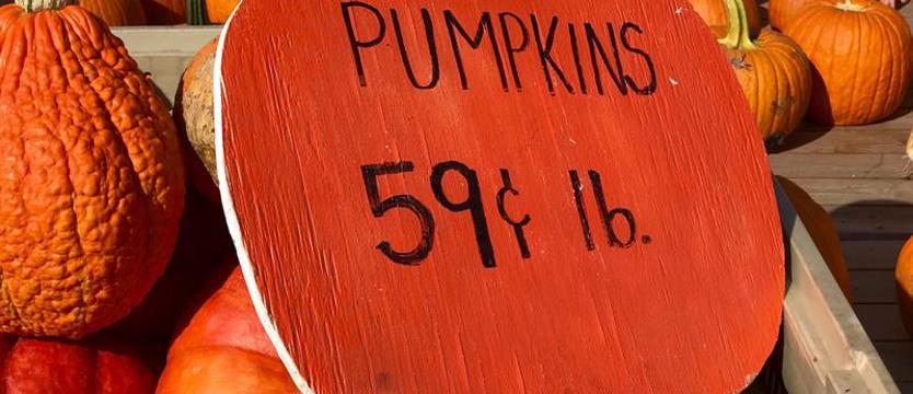 Jesień i halloween po amerykańsku