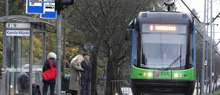 Więcej kursów, dodatkowe linie