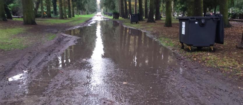 Cmentarne aleje na pokolenia?