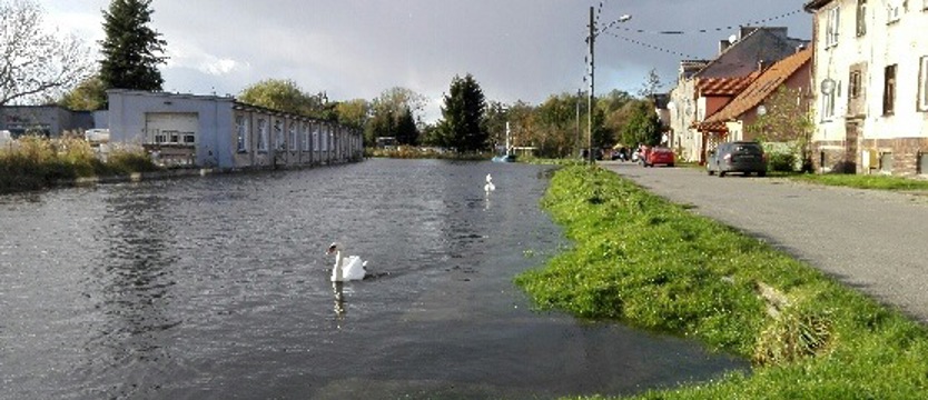 Poziom Odry niebezpiecznie się podniósł
