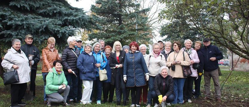 Krokusy rozkwitną w Pyrzycach