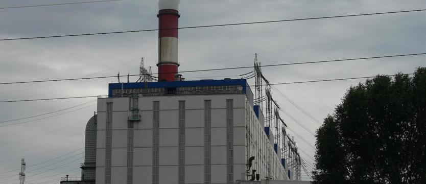 ZEDO znów Liderem Bezpiecznej Pracy