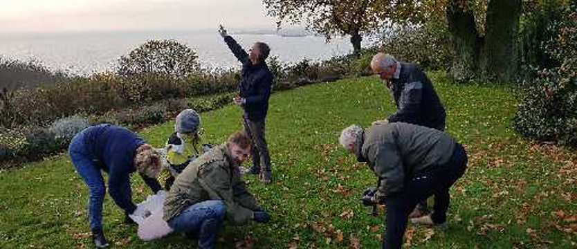 Krokusy na klifach