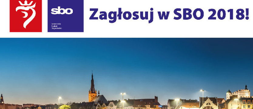 Nieprawidłowości w głosowaniu w ramach budżetu obywatelskiego