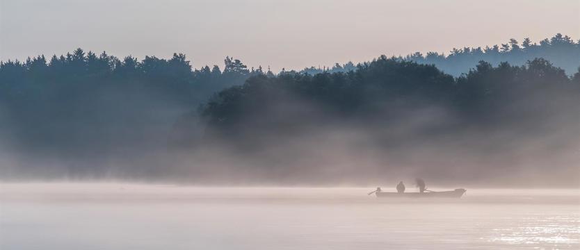 Połowy i akwakultura