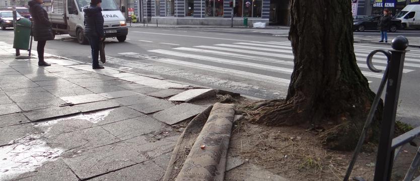 Ledwie pięć wizji i... dywan