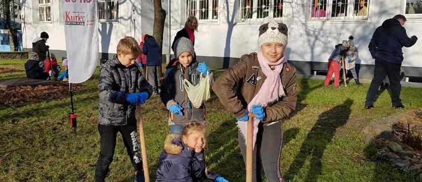 Ostatni akord w słońcu
