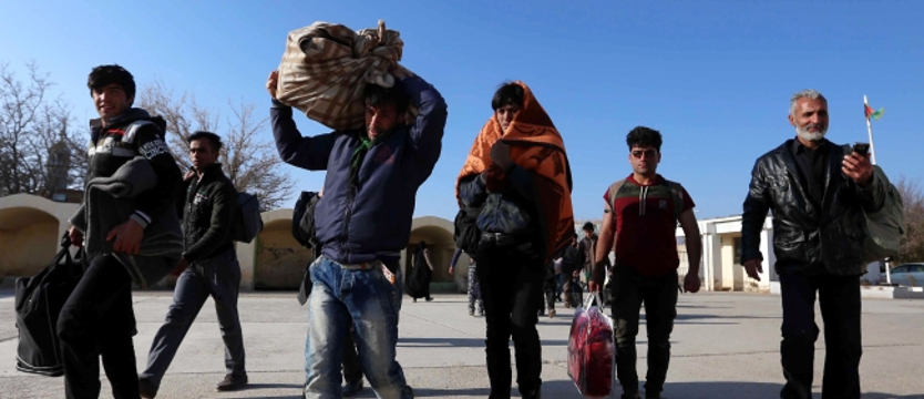 Wysokie premie dla migrantów za wyjazd z Niemiec