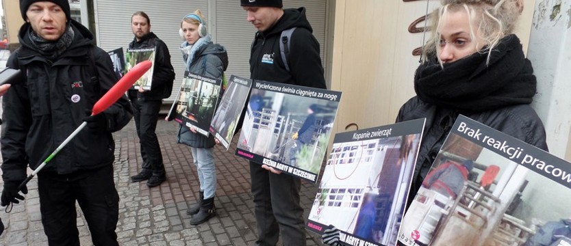 STOP fabrykom cierpienia