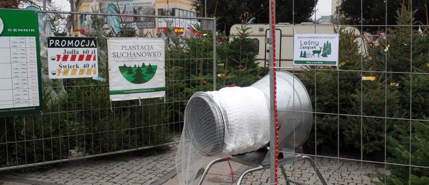 Na straży choinek