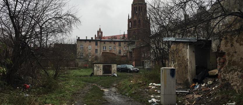 Brzydsza strona Dąbia