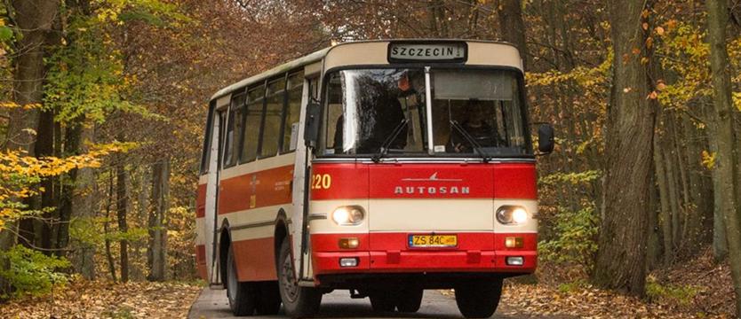 Pojedź świątecznym autobusem