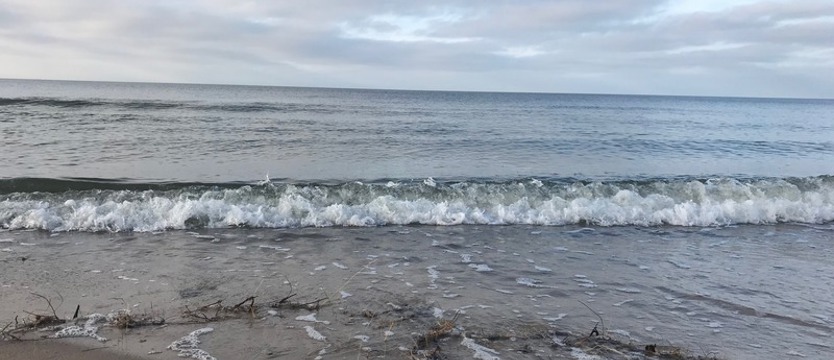 Zwłoki na plaży