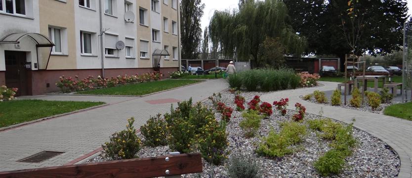 Postaw na zielone!