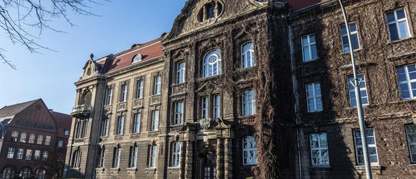 Studia czekają na chętnych