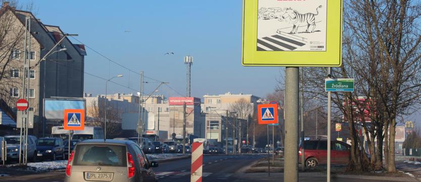 "Niech żyje zebra!"