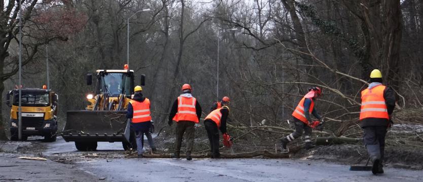 Ulica Arkońska. Tną aż furczy