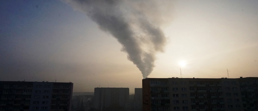Smog i polityka
