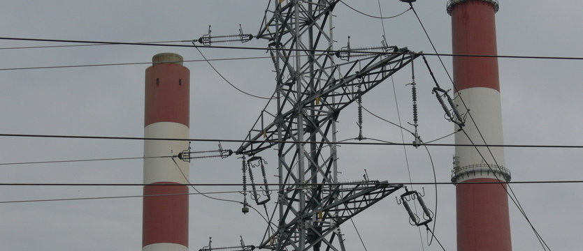 Kolejne zatrzymania w Elektrowni Dolna Odra