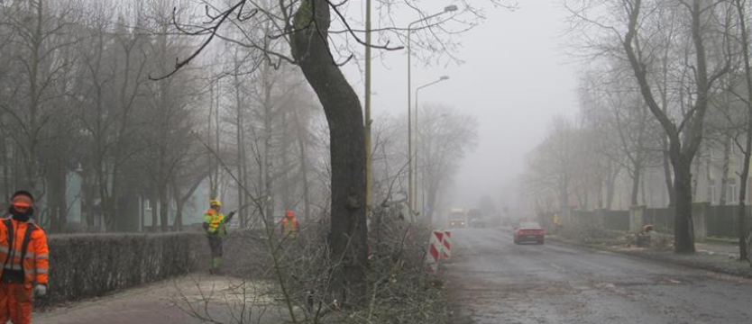 Na wycince skorzystają podopieczni  MOPS
