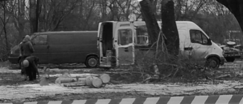 Wolność od zieleni?