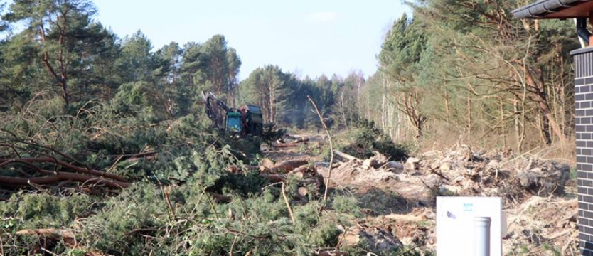 Burza wokół wycinki.  Mieszkańcy chcą zieleni, a nie betonu?