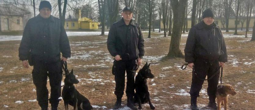 Czworonożni funkcjonariusze będą zwalczać przestępczość narkotykową