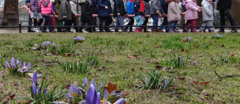 Na hasło: „krokus”