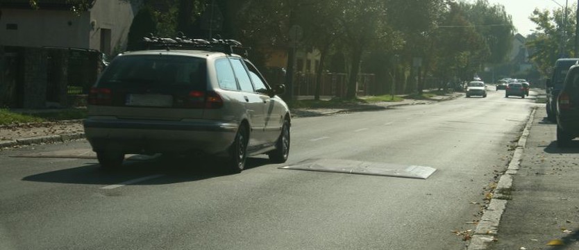 Zlikwidować spowalniacze na Wierzbowej?