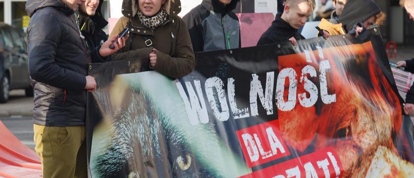 O świadomość ludzi i prawa zwierząt