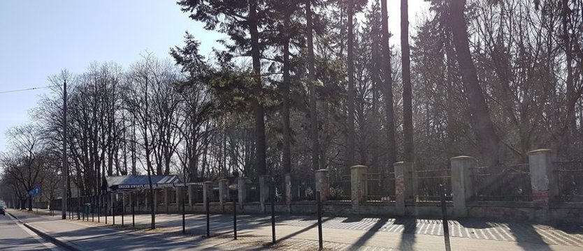 Utrudnienia przy Cmentarzu Centralnym