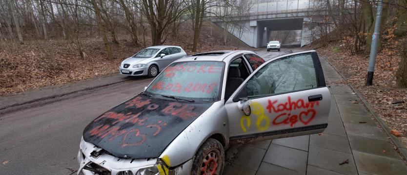 Koszmar w Puszczy Bukowej