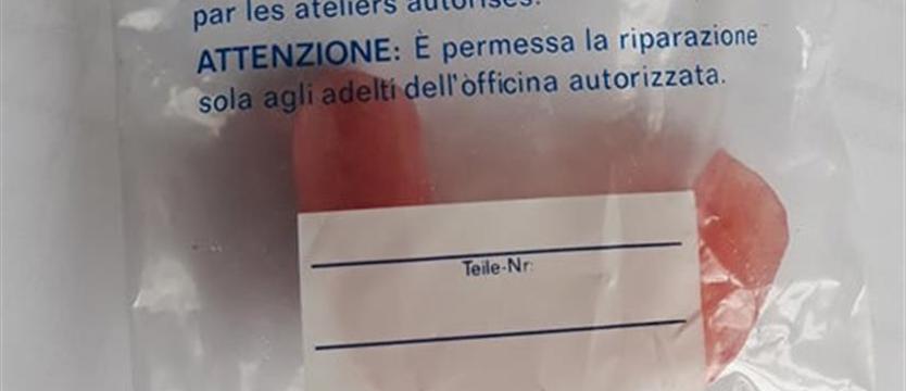 Szczęka czeka na właściciela