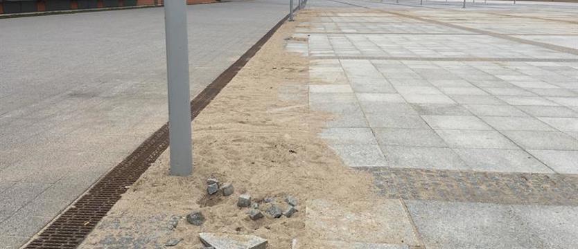 Szkoda i wstyd: obraz polodowiskowy